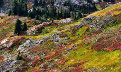 Fall Colors on Rampart Ridge Cascade Mountains Washington  