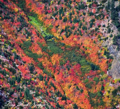 Explosion of Colors Keechelus Ridge Washington 