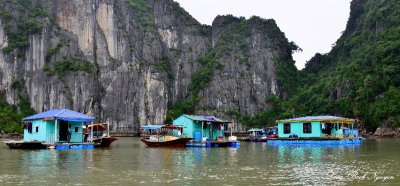 floating homes, Cua Van Floating Village, Dau Go Island, Ha Long Bay, Vietnam  