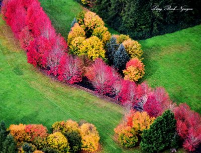 Spectacular Driveway, North Bend, Washington  