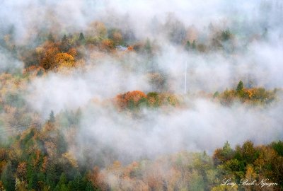 Bright landscape in fog  