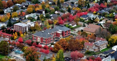 Fall Foliage in Central District neighborhood Seattle 