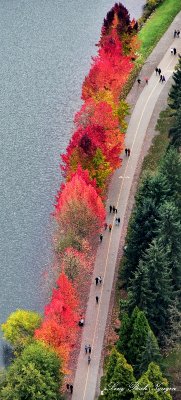 Sunday Walk around Greenlake Seattle 