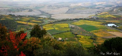 Montalcino and east valley Tuscany Italy  