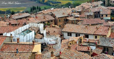 Roof Top, Montalcino, Tuscany, Italy  