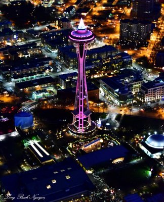 Space Needle, EMP, Pacific Science Center, Glass Garden, New Year Eve 2014, Seattle  