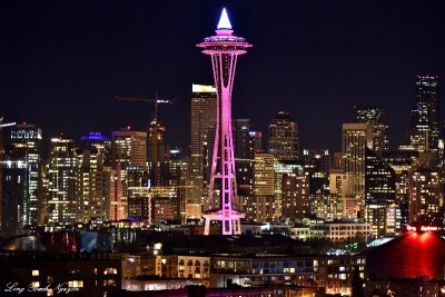 Pink Space Needle, Downtown Seattle, New Year Eve 2104  