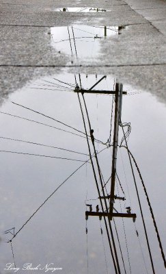 Reflection of Powerlines in West Seattle 