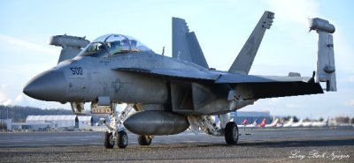 VAQ-130 NAS Whidbey At Clay Lacy Boeing Field Seattle  