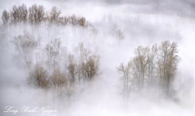 Fog over Snoqualmie River Valley Washington 