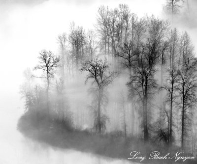 Fog over Snoqualmie River Valley Washington  