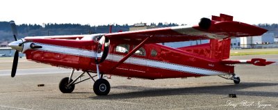Pilatus PC-6 Porter, Clay Lacy Aviation Seattle, Boeing Field  