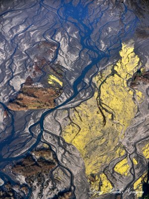 Toutle River Mount St Helens Volcanic Monument Washington State                                