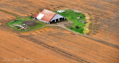 Barn in Orange Field, Chelais, Washington State  