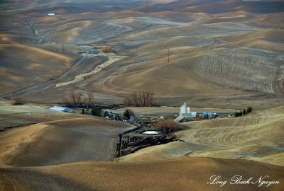 Wheat Field in the Palouse Hills, Washington State 
