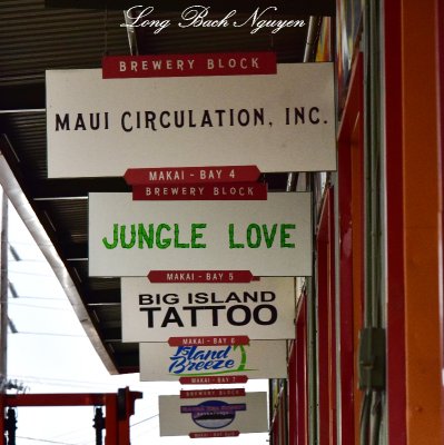 Jungle Love, Kailua-Kona, Big Island, Hawaii   