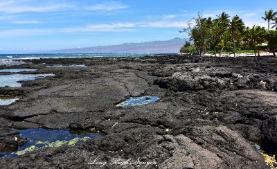Lava Field and Beach at Puako Hawaii  