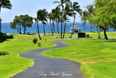 Leading to Gazebo, Fairmont Orchid, Hawaii  