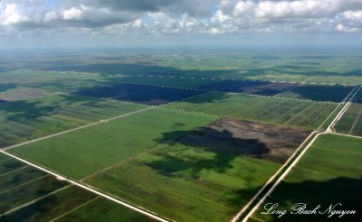 Florida Everglades, North New River Canal, Florida  