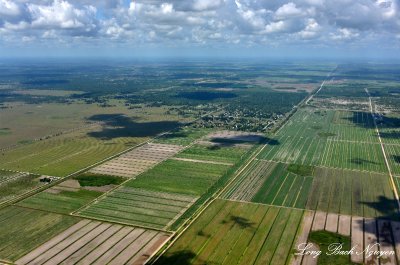 Florida Everglades Agricultural Area, Florida  