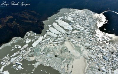 Harlequin Lake, Icebergs, Yakutat Glacier, Yakutat, Alaska  