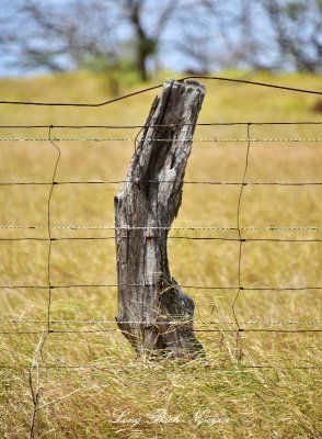 fence post 