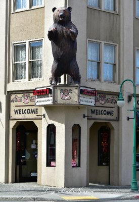 Grizzlys Gift Anchorage Alaska