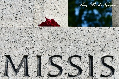 Rose for Mississippi, World War 2 Memorial, Washington DC  