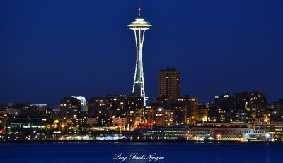Space Needle and Pier 91  