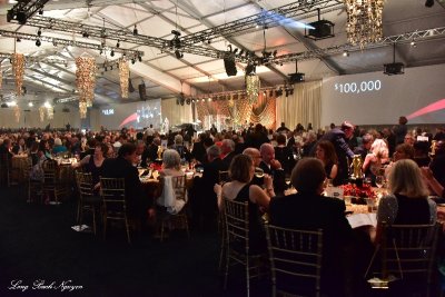Auction at Museum of Flight Seattle, First 50 Years Gala, Boeing Field Seattle