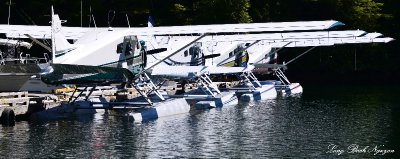 DHC-2 Beaver Floatplanes, Eaglenook Resort, Jane Bay, Vancouver Island, BC, Canada  