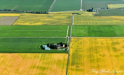 Farm in Primary Colors, Fir Island, Washington 