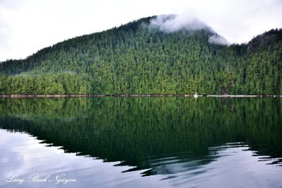 Jane Bay,Vancouver Island, Canada