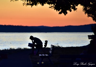 Enjoying the book at sunset Olympic Mountains, Puget Sound, Emma Schmitz park, West Seattle  