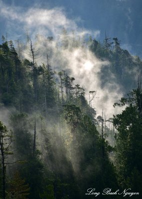 Morning Mist by Mount Aveline, Vancouver Island, Canada 