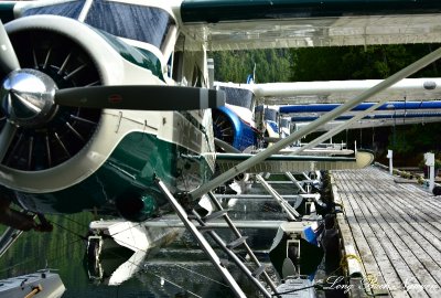 DHC-2 Beavers and Caravan at Eagle Nook Resort, Vancouver Island, Canada 