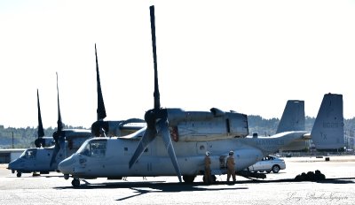 MV-22 Osprey, VMM-166, Clay Lacy Aviation, Boeing Field, Seattle Washington