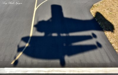 DHC-2 Beaver landing at BFI 