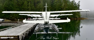DHC-2 Beaver and Caravan Floatplanes Eagle Nook Resort Vancouver Island Canada