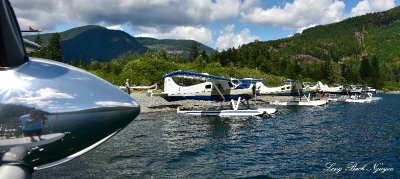 DHC-2 Beaver Floatplanes Nahmint Lake Vancouver Island Canada