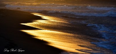 sand and surf