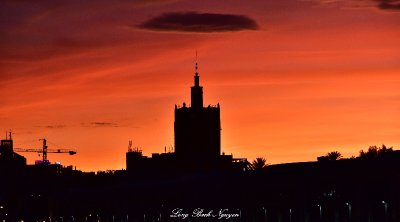 Brilliant Orange Malaga  