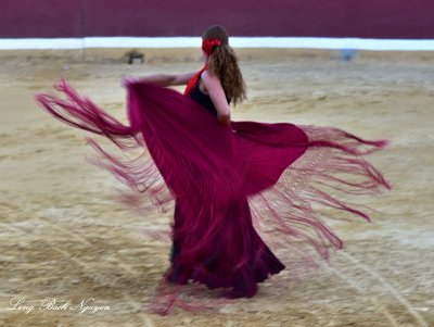 Flamenco Dancer