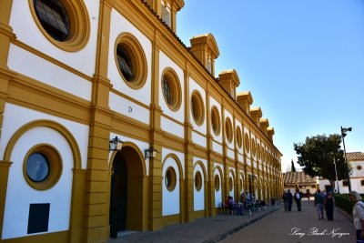 The Royal Andalusian School of Equestrian Art Covered Arena Jerez  