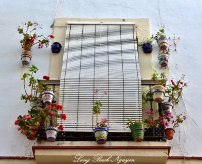 Window Planters Cadiz Spain 