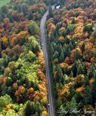 Redmond-Fall City Rd NE Redmond WA