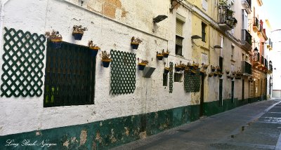 Flower pots on Calle Pastora Cadiz Andalusia 
