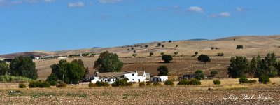 Andalusian Landscape  