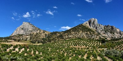 Las Grajas El Gastor Spain