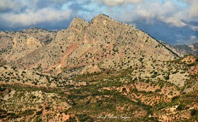 Mountain around Ronda